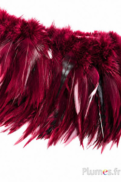 Franje haan - lengte veren 10-15 cm - bordeaux